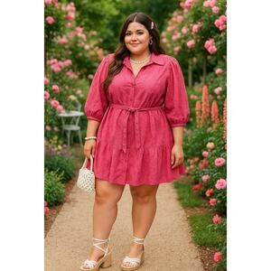 Colleen Lopez Embroidered Pink Eyelet Flared Shirt Dress 3/4 Puff Sleeve Boho 3X